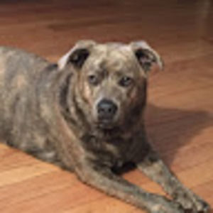 Meet your Posher, Michele